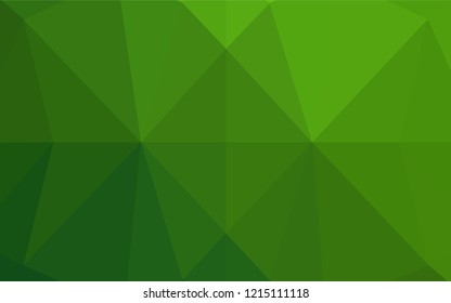 Light Green vector hexagon mosaic texture. Shining illustration, which consist of triangles. Brand new design for your business.