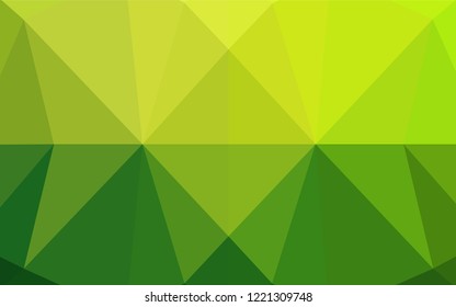 Light Green vector hexagon mosaic cover. A completely new color illustration in a vague style. The template can be used as a background for cell phones.
