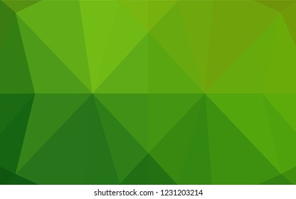 Light Green vector hexagon mosaic cover. Shining colored illustration in a Brand new style. Brand new design for your business.