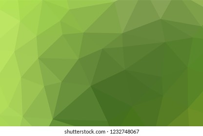 Light Green vector hexagon mosaic cover. A sample with polygonal shapes. The polygonal design can be used for your web site.
