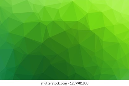 Light Green vector hexagon mosaic template. Shining illustration, which consist of triangles. The polygonal design can be used for your web site.