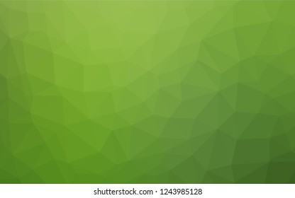 Light Green vector hexagon mosaic texture. Geometric illustration in Origami style with gradient.  Brand new style for your business design.