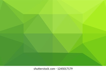Light Green vector hexagon mosaic cover. A sample with polygonal shapes. A completely new template for your business design.
