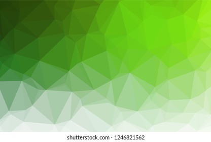 Light Green vector hexagon mosaic template. A vague abstract illustration with gradient. The elegant pattern can be used as part of a brand book.