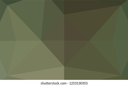 Light Green vector hexagon mosaic template. Glitter abstract illustration with an elegant design. The textured pattern can be used for background.