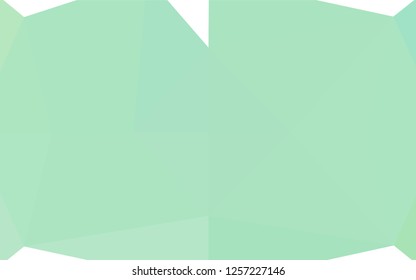 Light Green vector hexagon mosaic texture. A sample with polygonal shapes. The polygonal design can be used for your web site.