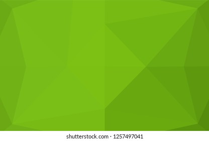 Light Green vector hexagon mosaic template. A completely new color illustration in a vague style. The textured pattern can be used for background.