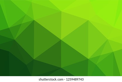 Light Green vector hexagon mosaic texture. A completely new color illustration in a vague style. The template can be used as a background for cell phones.