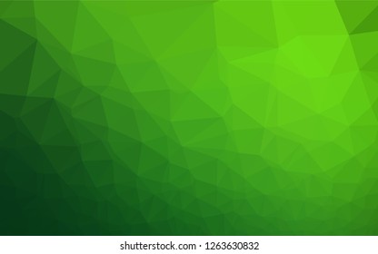 Light Green vector hexagon mosaic texture. A sample with polygonal shapes. The template can be used as a background for cell phones.