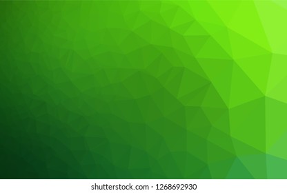 Light Green vector hexagon mosaic cover. A sample with polygonal shapes. The polygonal design can be used for your web site.