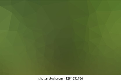 Light Green vector hexagon mosaic template. Creative geometric illustration in Origami style with gradient. A completely new template for your business design.