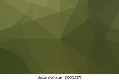 Light Green vector hexagon mosaic template. A completely new color illustration in a vague style. Brand new style for your business design.
