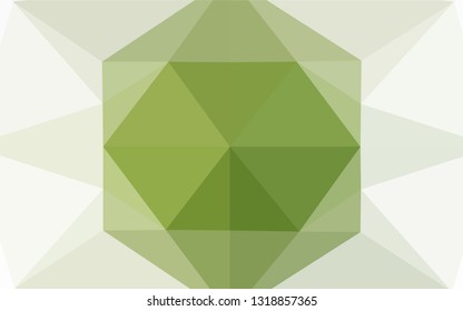 Light Green vector hexagon mosaic texture. Brand new colored illustration in blurry style with gradient. The completely new template can be used for your brand book.
