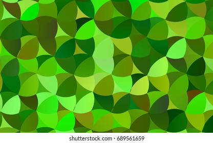 Light Green vector illustration which consist of circles. Dotted gradient design for your business. Creative geometric background in halftone style with colored spots.