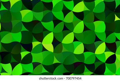 Light Green vector illustration which consist of circles. Dotted gradient design for your business. Creative geometric background in halftone style with colored spots.