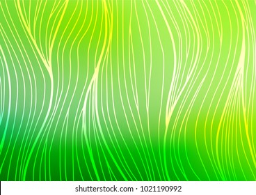 Light Green vector indian curved template. A completely new color illustration in doodle style. Brand-new style for your business design.