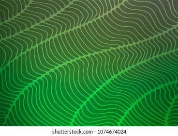 Light Green vector indian curved background. Ethnic elegant natural pattern with gradient. The elegant pattern can be used as a part of a brand book.