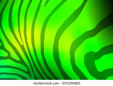 Light Green vector indian curved template. Decorative shining illustration with doodles on abstract template. The textured pattern can be used for website.