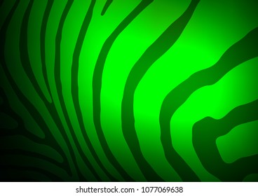 Light Green vector indian curved template. Brand-new colored illustration in blurry style with doodles. The textured pattern can be used for website.