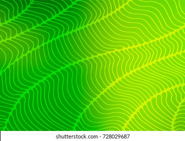 Light Green vector indian curved background. Glitter abstract illustration with doodles and Zen tangles. A completely new template for your business design.