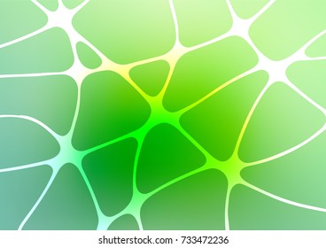 Light Green vector indian curved texture. Colorful abstract illustration with lines in Asian style. The pattern can be used for coloring books and pages for kids.