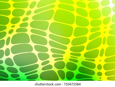Light Green vector indian curved texture. Decorative shining illustration with doodles on abstract template. The textured pattern can be used for website.