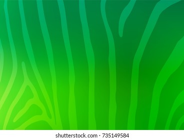 Light Green vector indian curved template. Shining colored illustration with doodles in Zen tangle style. The completely new template can be used for your brand book.