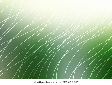 Light Green vector indian curved texture. A vague abstract illustration with doodles in Indian style. The pattern can be used for heads of websites and designs.