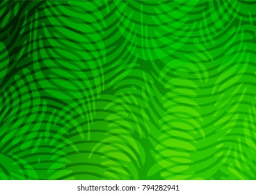 Light Green vector indian curved pattern. Brand-new colored illustration in blurry style with doodles. A completely new design for your business.