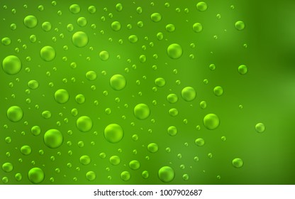 Light Green vector layout with circle shapes. Glitter abstract illustration with blurred drops of rain. Completely new template for your brand book.