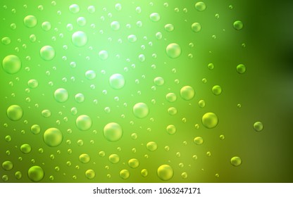 Light Green vector layout with circle shapes. Abstract illustration with colored bubbles in nature style. The pattern can be used for aqua ad, booklets.
