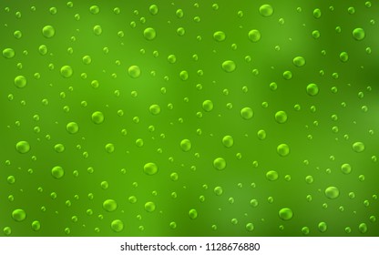 Light Green vector layout with circle shapes. Beautiful colored illustration with blurred circles in nature style. The pattern can be used for beautiful websites.