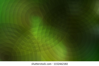 Light Green vector layout with circle shapes. Modern abstract illustration with colorful water drops. New design for ad, poster, banner of your website.