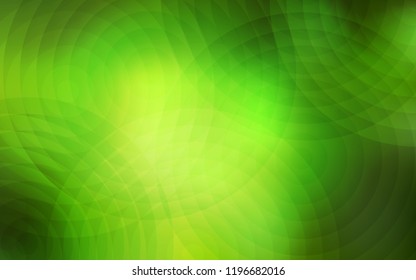 Light Green vector layout with circle shapes. Modern abstract illustration with colorful water drops. Pattern can be used as texture of wallpapers.