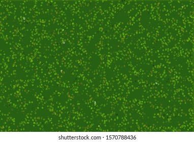 Light Green vector layout with circle shapes. Glitter abstract illustration with blurred drops of rain. Design for business adverts.