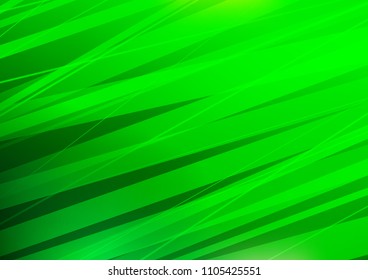 Light Green vector layout with flat lines. Shining colored illustration with narrow lines. The pattern can be used for websites.