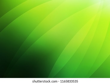 Light Green vector layout with flat lines. Modern geometrical abstract illustration with staves. The pattern can be used for busines ad, booklets, leaflets