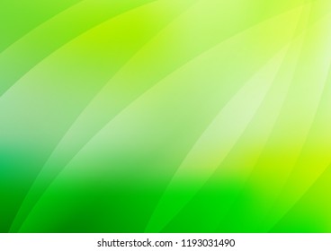 Light Green vector layout with flat lines. Shining colored illustration with narrow lines. The template can be used as a background.