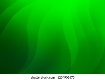 Light Green vector layout with flat lines. Modern geometrical abstract illustration with staves. Best design for your ad, poster, banner.