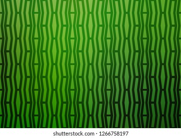 Light Green vector layout with flat lines. Shining colored illustration with narrow lines. The template can be used as a background.