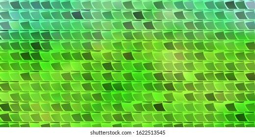 Light Green vector layout with lines, rectangles. Colorful illustration with gradient rectangles and squares. Pattern for websites, landing pages.