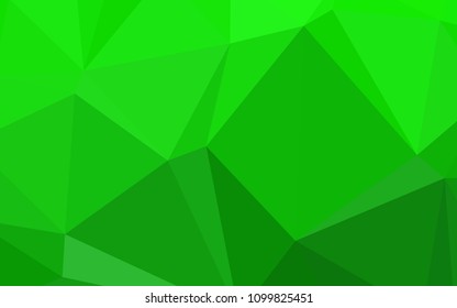 Light Green vector low poly texture. A sample with polygonal shapes. A completely new design for your business.