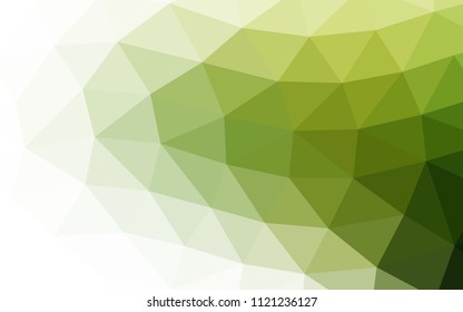 Light Green vector low poly low poly. Geometric illustration in Origami style with gradient.  The polygonal design can be used for your web site.