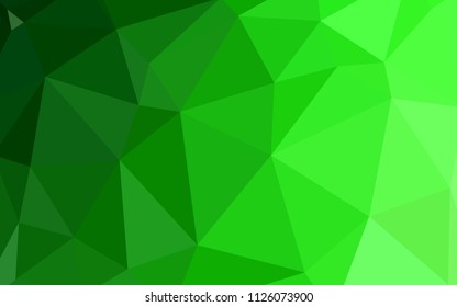Light Green vector low poly texture. Modern abstract illustration with triangles. Best triangular design for your business.