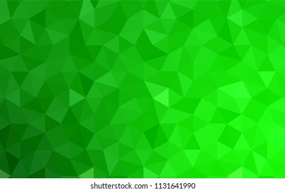 Light Green vector low poly texture. Colorful illustration in abstract style with triangles. Brand new design for your business.