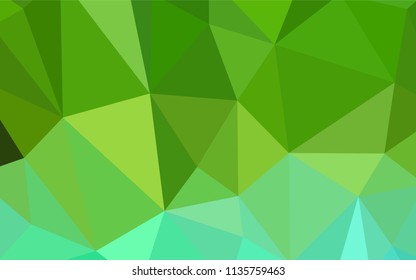 Light Green vector low poly texture. Shining polygonal illustration, which consist of triangles. Polygonal design for your web site.