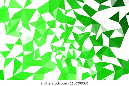 Light Green vector low poly cover. Shining polygonal illustration, which consist of triangles. Polygonal design for your web site.