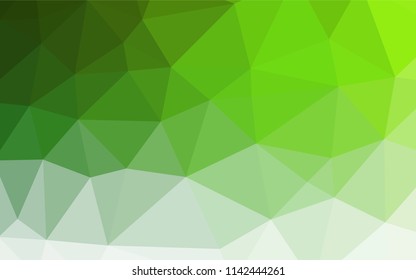 Light Green vector low poly layout. Triangular geometric sample with gradient.  A completely new design for your business.