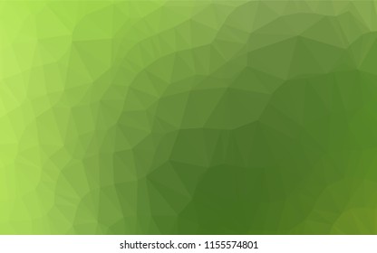 Light Green vector low poly cover. Shining colored illustration in a Brand new style. Triangular pattern for your business design.