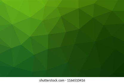 Light Green vector low poly cover. A completely new color illustration in a vague style. A completely new design for your business.